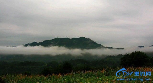 221911t0popohpoxu9hzht[1].jpg