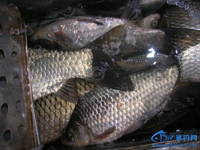 DSCN1228.JPG