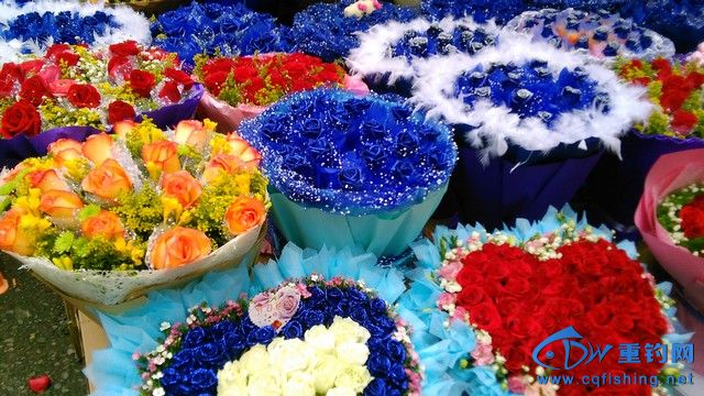 IMG_20150213_115718.jpg