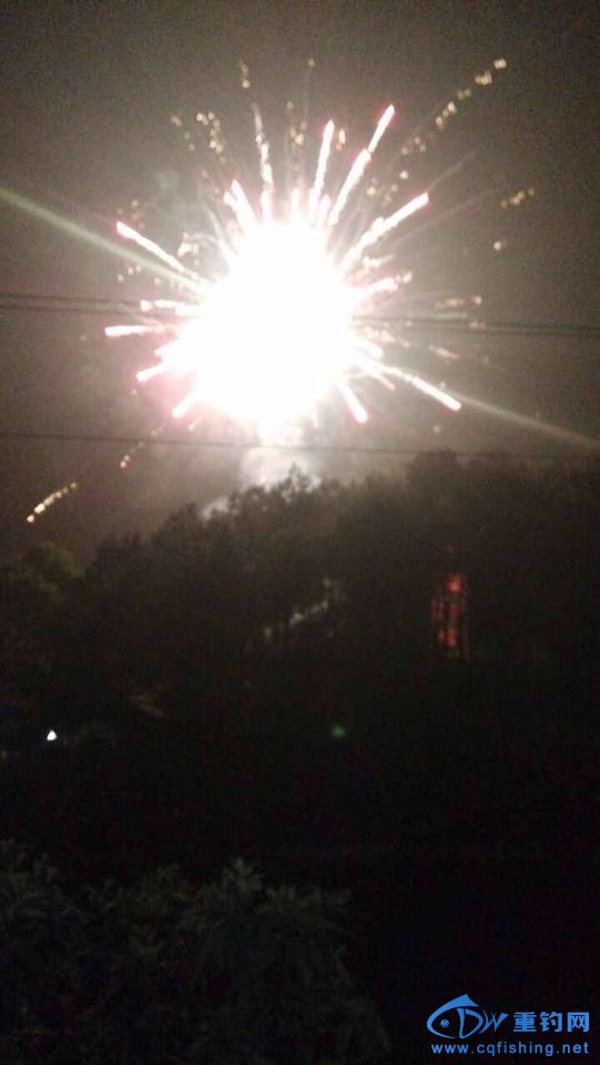 221850flzlrjjifjlyyljy.jpg