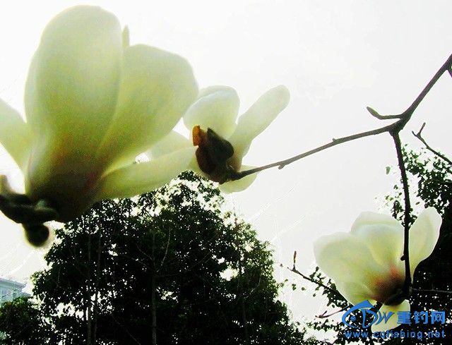 DSCN1297.JPG