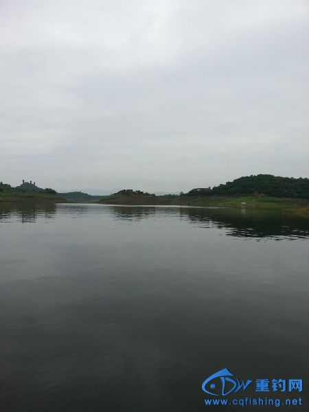 20140523_121217.jpg