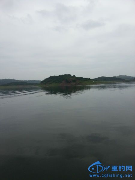 20140523_121225.jpg