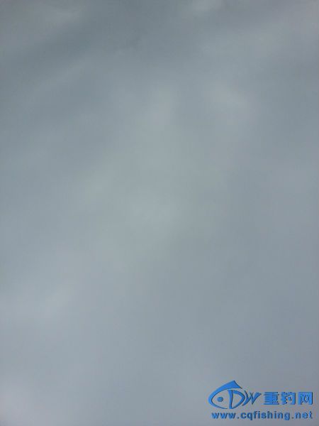 20140523_121255.jpg