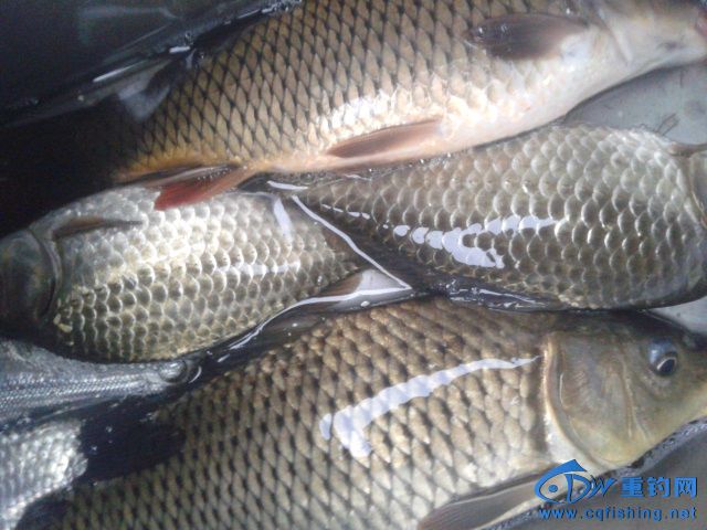 20150129_180123.jpg