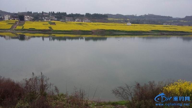 QQͼƬ20150301183020.jpg