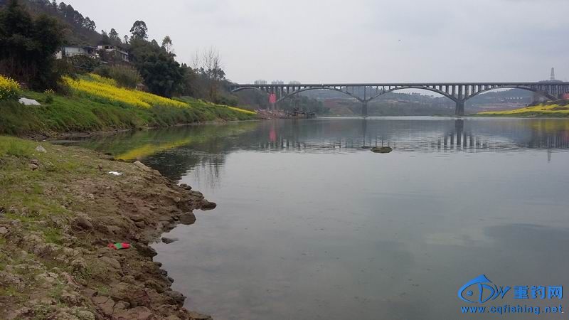 QQͼƬ20150301183034.jpg