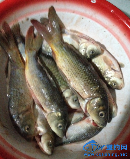 QQ图片20150301230240.png