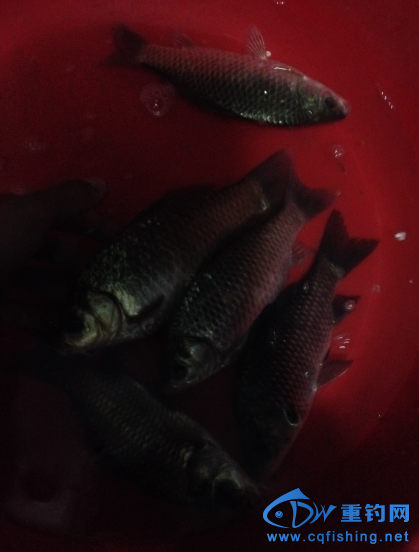 QQ图片20150301230353.png