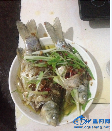 QQ图片20150301230443.png