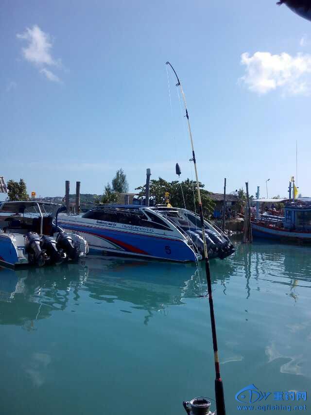 IMG_3055.jpg