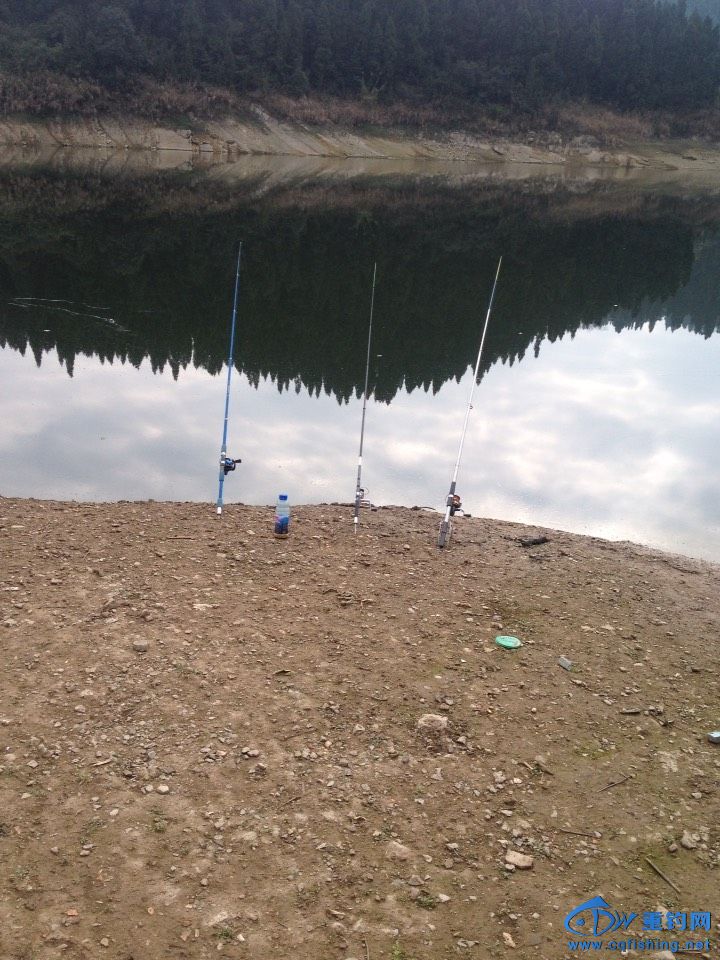 100450jptptbv6wv991ev9.jpg
