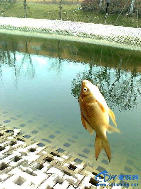 照片2378.jpg