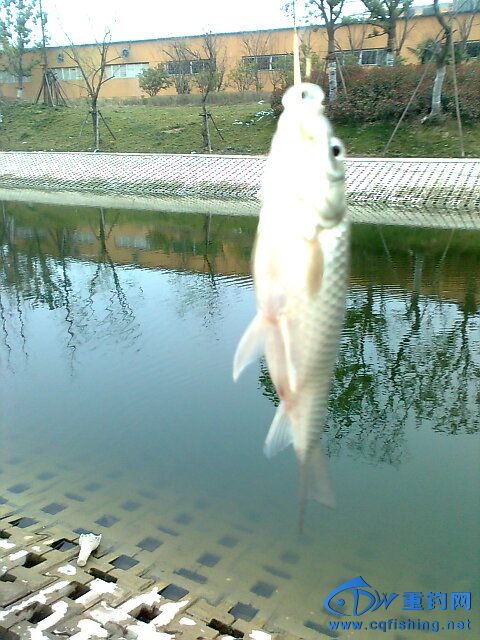照片2384.jpg