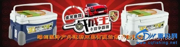 9.webp (1).jpg