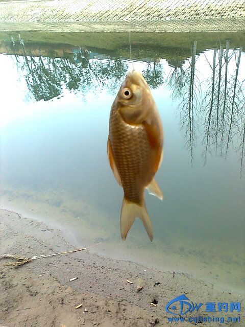 照片2407.jpg