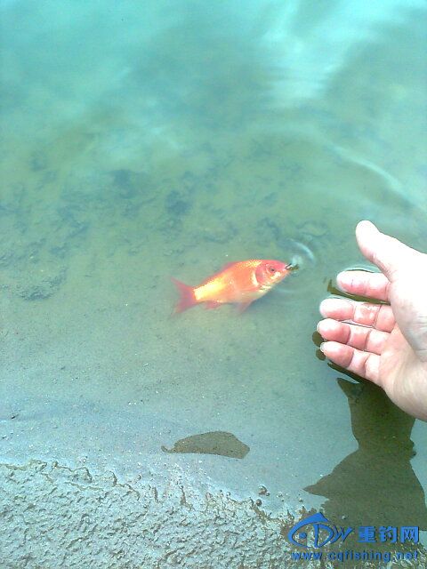 照片2419.jpg