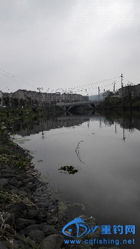 IMG_20150318_111957.jpg