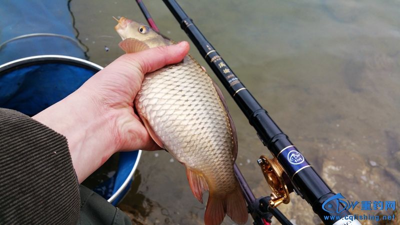 20150319_142314.jpg