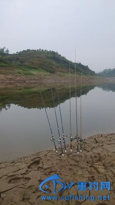 IMG_20150322_093621.jpg