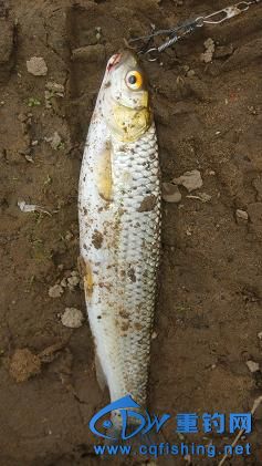 IMG_20150322_123804.jpg