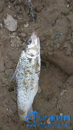 IMG_20150322_132218.jpg