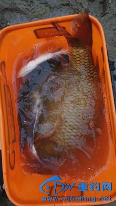 IMG_20150322_165847.jpg