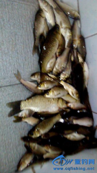 IMG_20150401_141609.jpg
