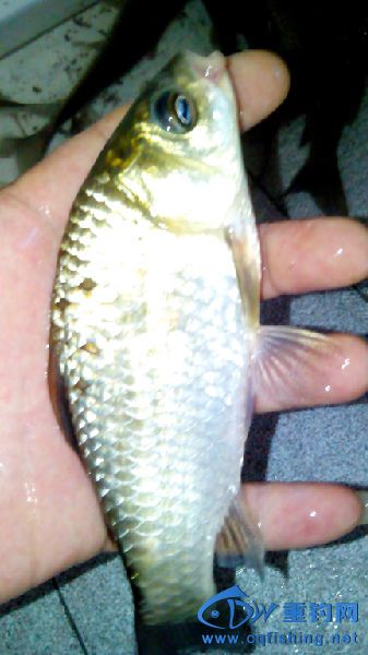 IMG_20150401_141414.jpg