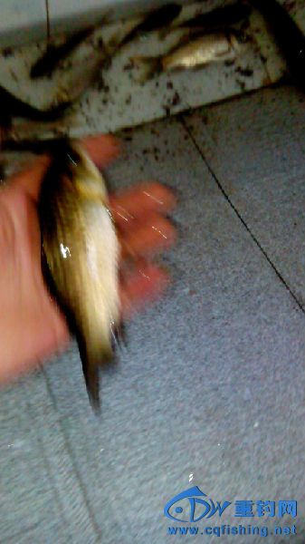 IMG_20150401_141402.jpg