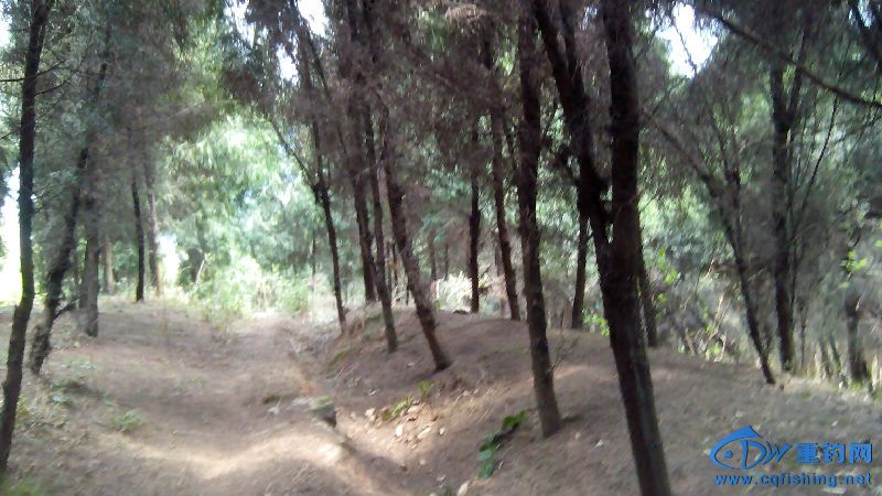 IMG_20150401_132519.jpg