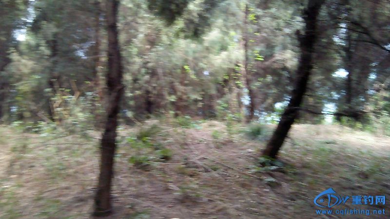 IMG_20150401_132516.jpg
