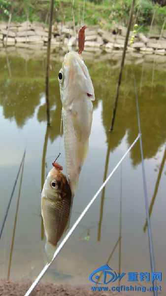IMG_20150401_105414.jpg