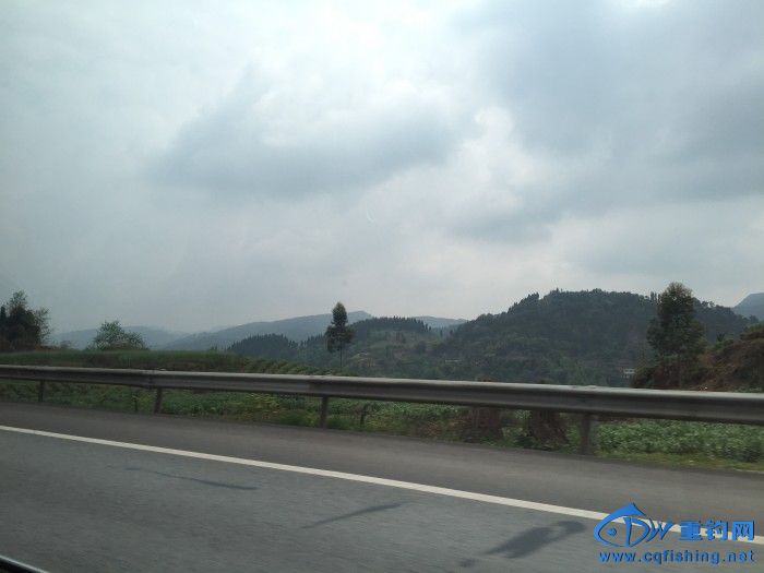 conew_044.jpg