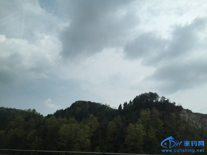 conew_092.jpg