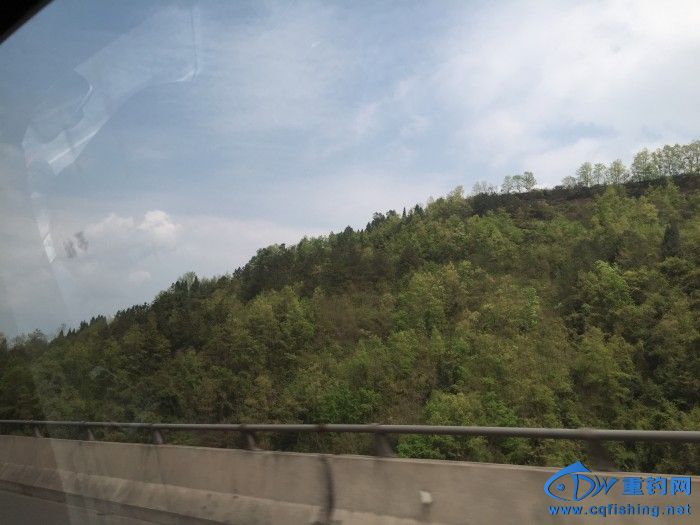 conew_110.jpg