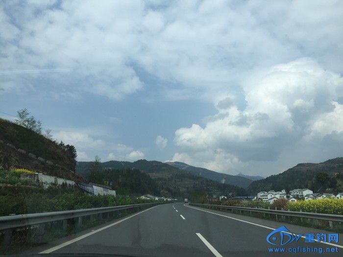conew_147.jpg