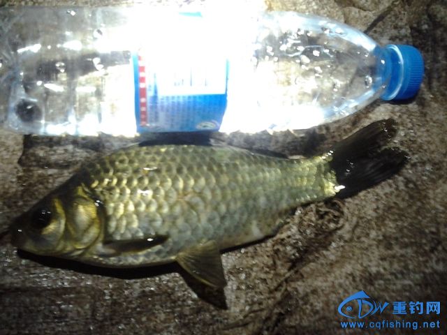 20150408_232311.jpg