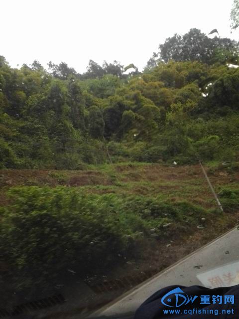 20150405_142818.jpg