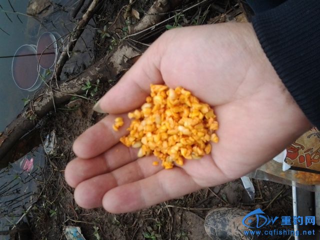 20150408_142014.jpg