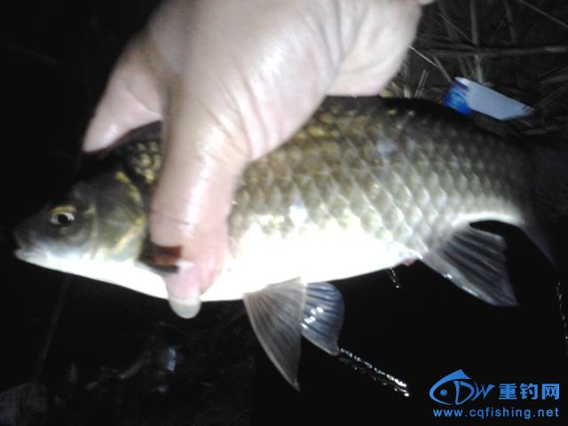 20150408_230025.jpg