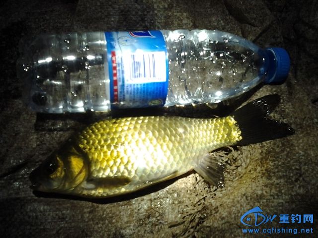 20150408_232249.jpg