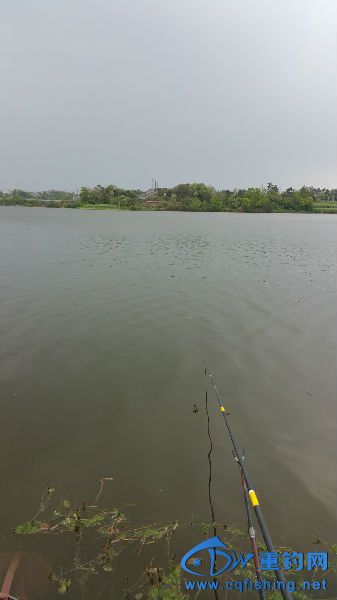 20150412_152733.jpg