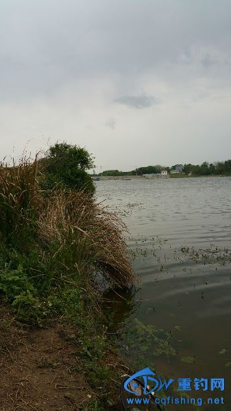 20150412_152810.jpg