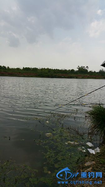 20150412_152742.jpg