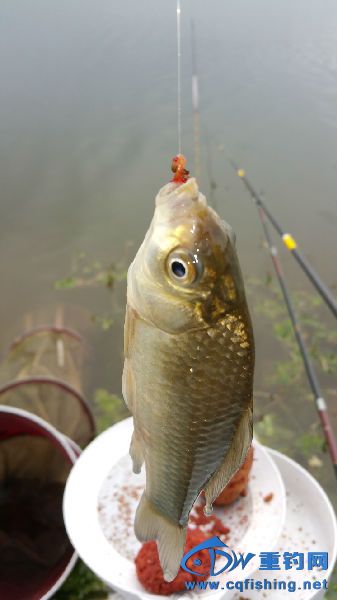 20150412_152942.jpg