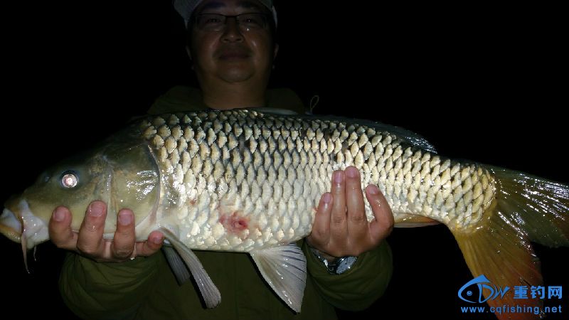 20150405_191830.jpg