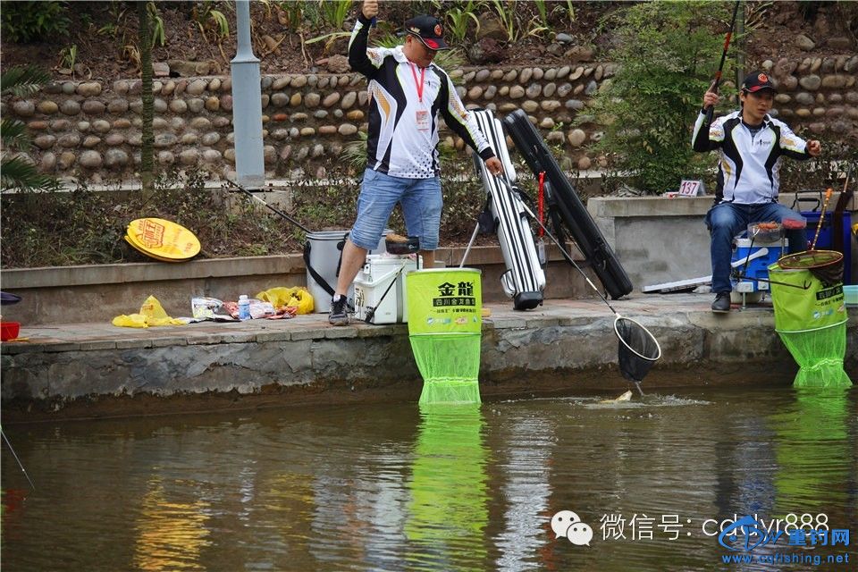 20150419_220231_033.jpg
