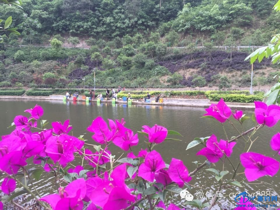 20150419_220231_071.jpg