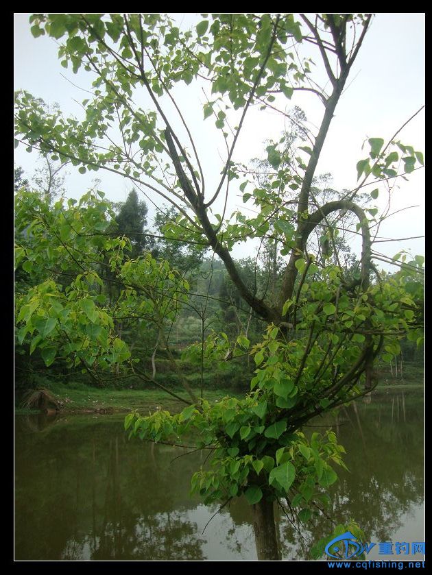 nEO_IMG_DSC04393.jpg